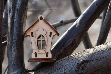 wooden little house stands on tree branchesの写真素材