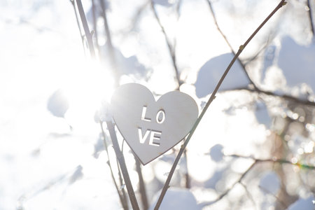 wooden heart with the inscription love on branches in the sunの写真素材
