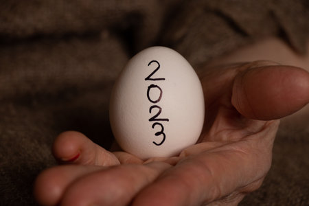 An old female hand holds a chicken egg with the inscription 2023,the year 2023の写真素材