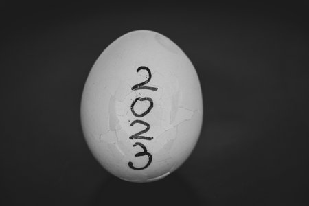 2023 is written on a cracked white chicken egg on a black background, the year 2023
