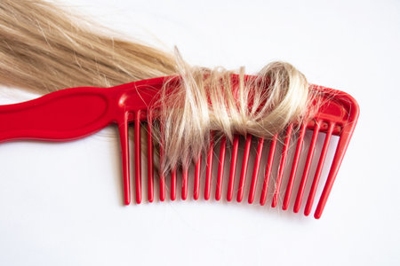 light brown hair on hair combs on a white background close-upの写真素材