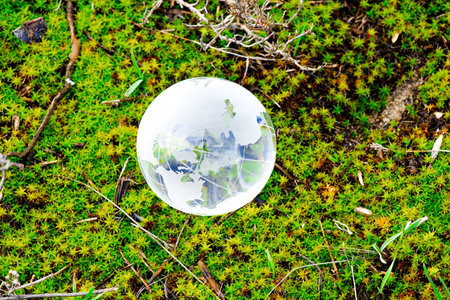 transparent glass globe of the planet lies on green grassの写真素材