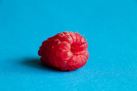 One raspberry lies on a blue background close-up, fruits and berries