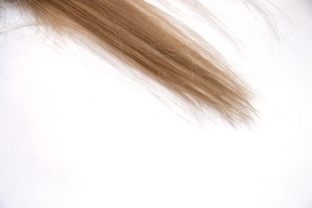 blond long hair on an isolated background close-upの写真素材