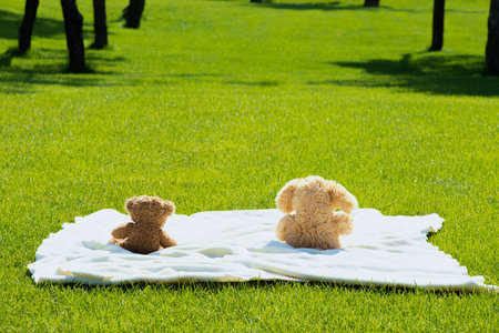 Two children's teddy bears sit on the grass in the summer in a field in the sun in Ukraineの写真素材