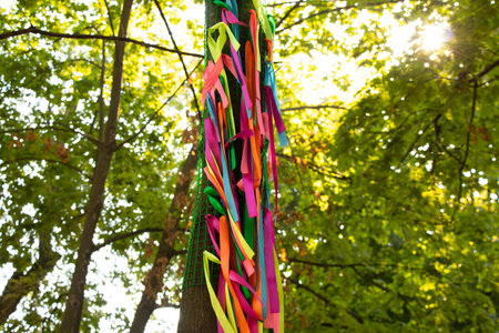 Multi-colored ribbons as a background are tied to a tree in parks in the summer in the sun, festive colored ribbons in the windの写真素材