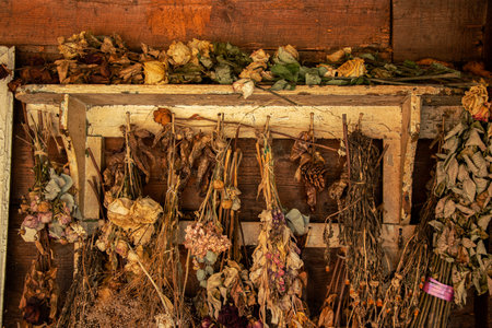 A lot of dried flowers weigh on an old wooden wall, dry flowers and decor
