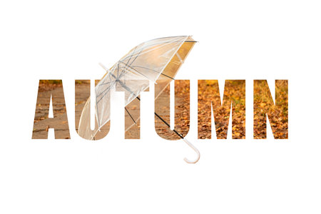 A transparent umbrella lies on the road in yellow autumn leaves in the text word autumn on a white background, autumn season, bannerの写真素材