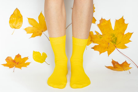 Female feet in yellow socks on a white background and yellow autumn leaves from trees around, fashion and trend in autumnの写真素材
