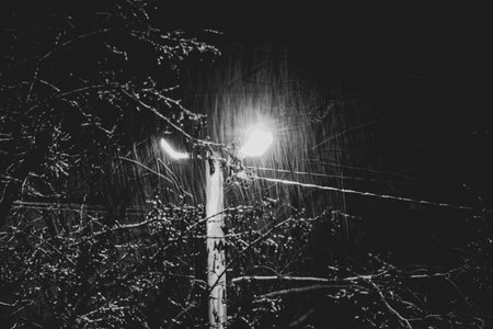 Lantern light and trees on the street in a residential area of the city of Dnipro in Ukraine in snowy evening weather, winter, black and white photoの写真素材