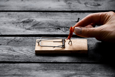 A mousetrap with a piece of sausage stands on a wooden black floor in the house, and a womans hand...