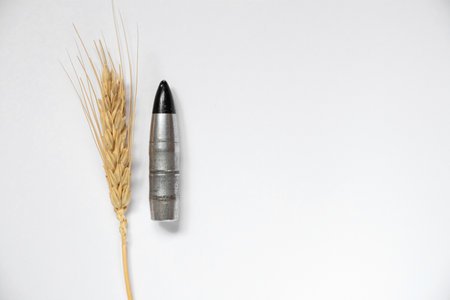 Armor-piercing bullet and a spike of wheat on a white background close-up, weapons and cartridges