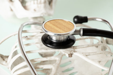 A stethoscope lies on a skeleton on a light background, close-up, diagnosticsの写真素材