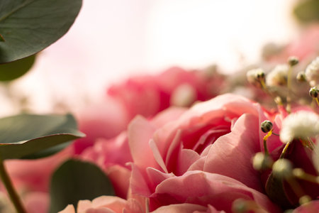 Bouquet of pink shrub roses as a background, flower arrangement, holiday bouquetの写真素材
