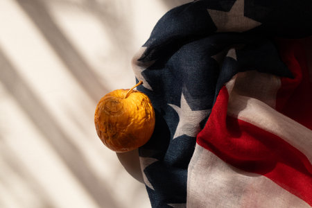 Rotten and dry apple lies on the American flag, crisis and problemsの写真素材