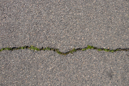 Cracked asphalt with grass growing on the road as a background, road surface