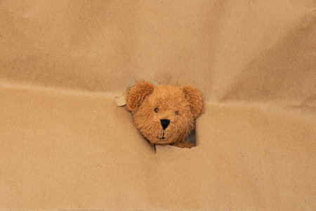 The head of a baby brown teddy bear sticks out of a hole in brown paper, bear headの写真素材