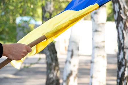 Flag of Ukraine in the hands of a man on the background of birches in a garden in the Dnieper in Ukraine in the sun, patriotic symbolsの写真素材