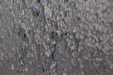 Cracked black paint on iron gates in the sun as a background, old black paint with cracksの写真素材