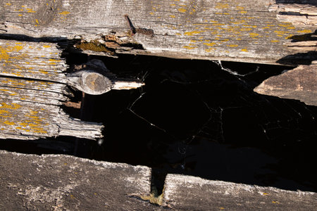 Old wooden planks with a hole in the middle in the sun as a background, old wooden backgroundの写真素材