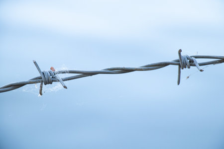 Barbed wire against the sky close-up in Ukraineの写真素材