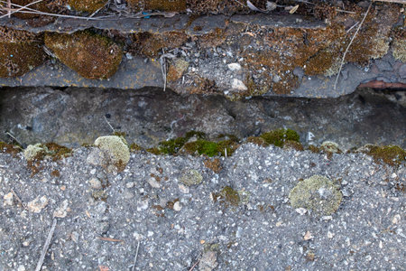 Asphalt and moss grows on the metal on the road and in the middle there is a crack in the asphalt from the metal, the old road is destroyedの写真素材
