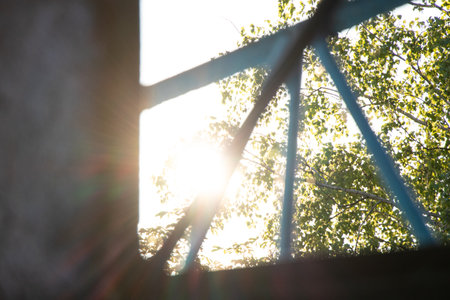Sun rays break through birch trees and view through high fence, nature, summer and sunの写真素材