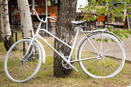 White retro painted bicycle near a tree as a decorative element in the summer in Ukraine, retro bicycle decorの写真素材
