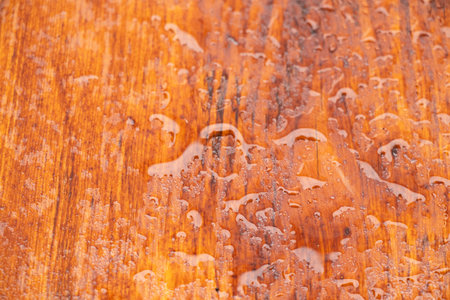 Wet wooden board with water drops after rain as background, board backgroundの写真素材