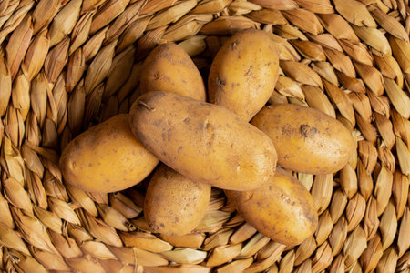 Raw potatoes lie on a straw brown substrate, vegetablesの写真素材