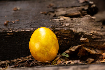 Golden Easter egg on wooden board outdoors, painted Easter egg, Easterの写真素材
