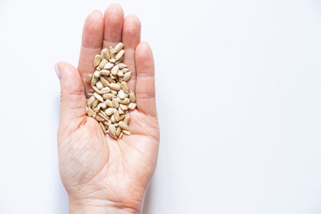 Peeled sunflower seeds in palm on white background, healthy eating, grainsの写真素材