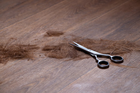 Cut hair lies on the wooden floor and scissors on hair, haircut, hairdresserの写真素材