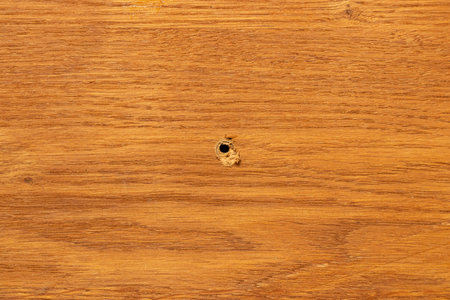 Hole in wooden surface, background for furniture repair themes, hole in the center of the boardの写真素材