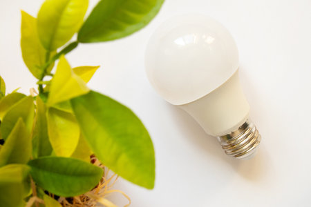 Energy saving lamp lies on a white background near an indoor lemon tree in a pot on a white background, light and energy savingの写真素材