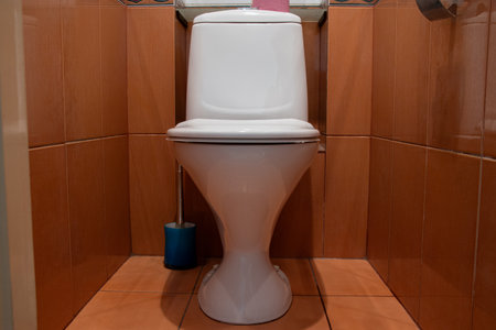 Small toilet in the apartment with a toilet and brown tiles with repair