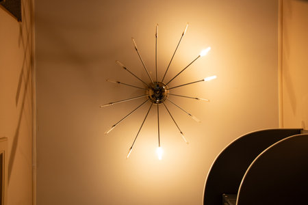 The included chandelier on the ceiling illuminates the corridor of the apartment with brown walls, ceiling lighting, chandelierの写真素材