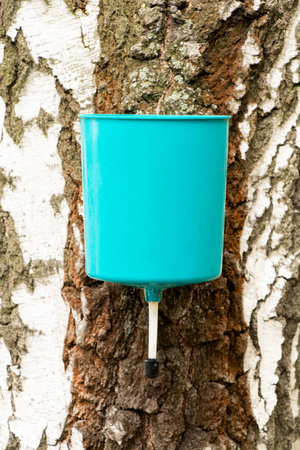 Outdoor washbasin on a tree, country washbasin with a water tank, installed on a birch trunkの写真素材