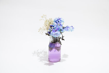 Dry blue flowers and white gypsophila in a glass jar with purple water on a white backgroundの写真素材