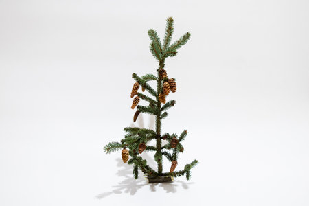 Miniature Christmas tree with pine cones on a white background for decoration and holiday compositionsの写真素材