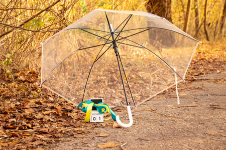 September 1st in the autumn forest, calendar with date and umbrella against yellowed leaves and ribbon in the colors of the Ukrainian flagの写真素材