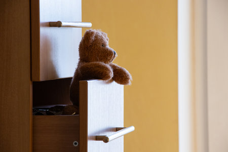 A teddy bear peeks out of a closet drawer in a room in an apartment in the light from a windowの写真素材