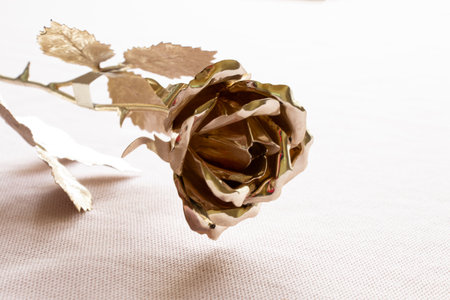 A golden rose lies on a light fabric in the light close-upの写真素材