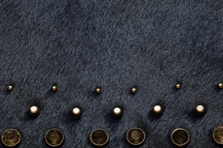 Dark fur with metal decorations, background and texture of black bag close-upの写真素材