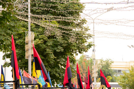 Memory Alley with Ukrainian and red-black UPA flags in honor of the fallen soldiers. Flags flutter...