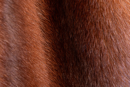 A close-up of a mink coat used as a background or texture for a woman's fur coat, natural fly slick backgroundの写真素材