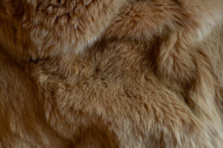 A close-up of light beige fur from a women's fur coat used as a background or texture, natural fly...