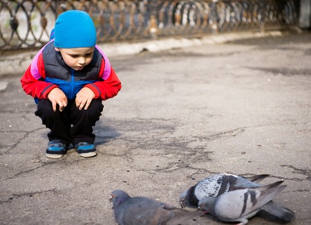 Cute little boy feeding birds in city park. Autumn or spring weather.の写真素材