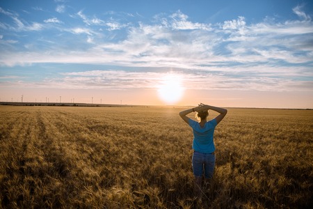 Free Happy Woman Enjoying Nature and Freedom Outdoor. Woman with arms outstretched in a wheat field...