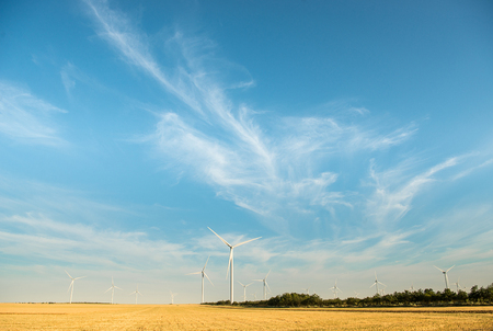 Wild mill in field. Power and energyの写真素材